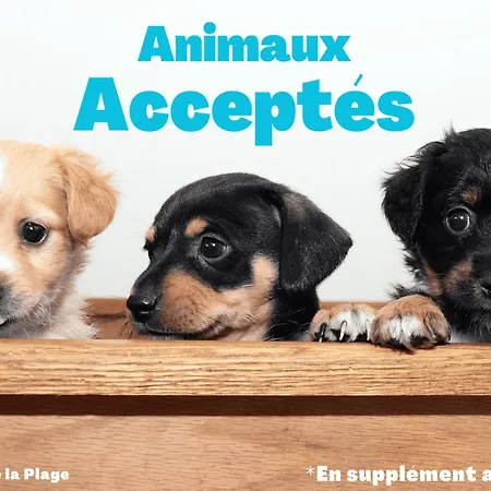 Charmante Maison 6 Pers. Acces Foret, 600m Plage, Animaux Admis - Fr-1-323-582 펜션 생장드몽