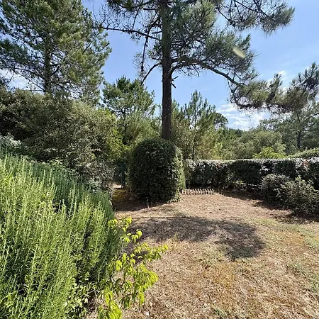 Charmante Maison 6 Pers. Acces Foret, 600m Plage, Animaux Admis - Fr-1-323-582 Nyaraló *